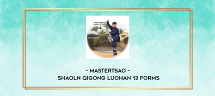 MasterTsao - Shaoln Qigong Luohan 13 Forms digital courses