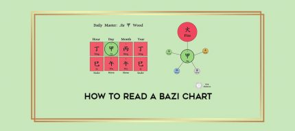 How to Read a bazi Chart digital courses