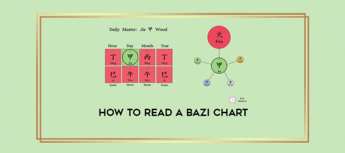 How to Read a bazi Chart digital courses