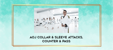 AOJ Collar & Sleeve attacks