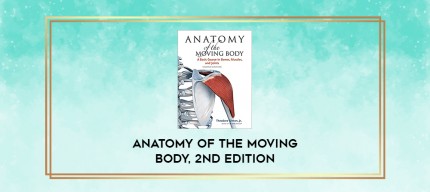 Anatomy of the Moving Body