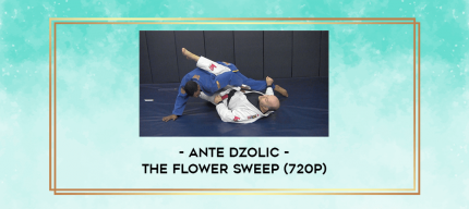 Ante Dzolic - The Flower Sweep (720p) digital courses