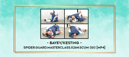 Bayev/Kesting - Spider.Guard.Masterclass.x264.SCUM (Gi) [MP4] digital courses