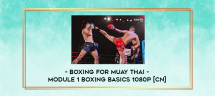 Boxing For Muay Thai - Module 1 Boxing Basics 1080p [CN] digital courses