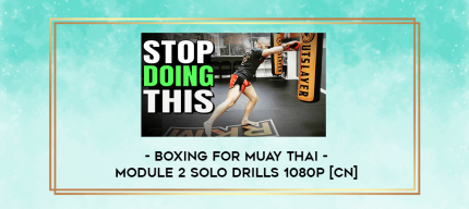 Boxing For Muay Thai - Module 2 Solo Drills 1080p [CN] digital courses