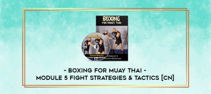 Boxing For Muay Thai - Module 5 Fight Strategies & Tactics [CN] digital courses