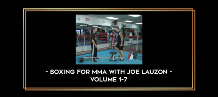 Boxing for MMA with Joe Lauzon - Volume 1-7 digital courses