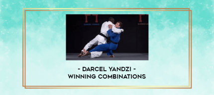 Winning Combinations by Darcel Yandzi digital courses