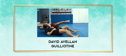 David Avellan Guilliotine digital courses