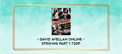 David Avellan Online - Striking Part 1 720p digital courses