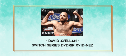 David Avellan Switch Series (avi) digital courses