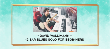 David Wallimann - 12 BAR BLUES SOLO FOR BEGINNERS digital courses