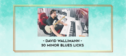 David Wallimann - 30 MINOR BLUES LICKS digital courses
