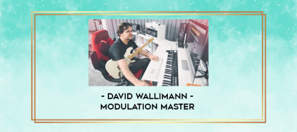 David Wallimann - MODULATION MASTER digital courses