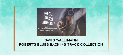 David Wallimann - ROBERT'S BLUES BACKING TRACK COLLECTION digital courses