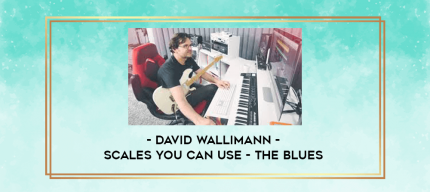 David Wallimann - SCALES YOU CAN USE - THE BLUES digital courses