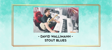 David Wallimann - STOUT BLUES digital courses