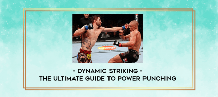 The Ultimate Guide To Power Punching - Dynamic Striking digital courses