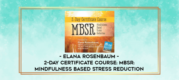 2-Day Certificate Course: MBSR: Mindfulness Based Stress Reduction - Elana Rosenbaum digital courses