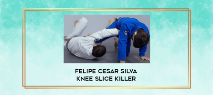 Felipe Cesar Silva Knee slice killer digital courses