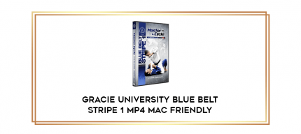 Gracie University Blue Belt Stripe 1 MP4 Mac Friendly digital courses