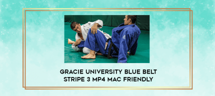 Gracie University Blue Belt Stripe 3 MP4 Mac Friendly digital courses