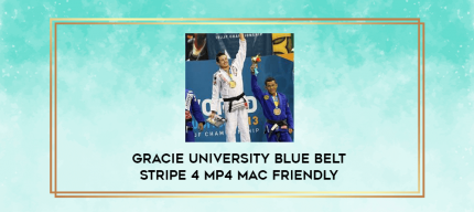 Gracie University Blue Belt Stripe 4 MP4 Mac Friendly digital courses