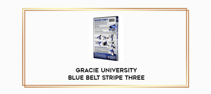 Gracie University Blue Belt Stripe Three digital courses