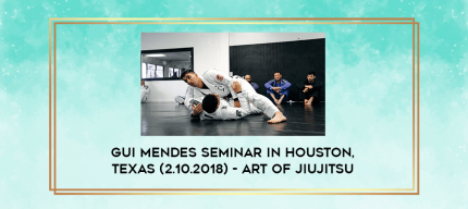 Gui Mendes Seminar in Houston