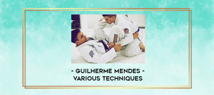 Guilherme Mendes - Various Techniques digital courses