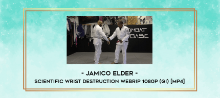 Jamico Elder - Scientific Wrist Destruction WebRip 1080p (Gi) [MP4] digital courses