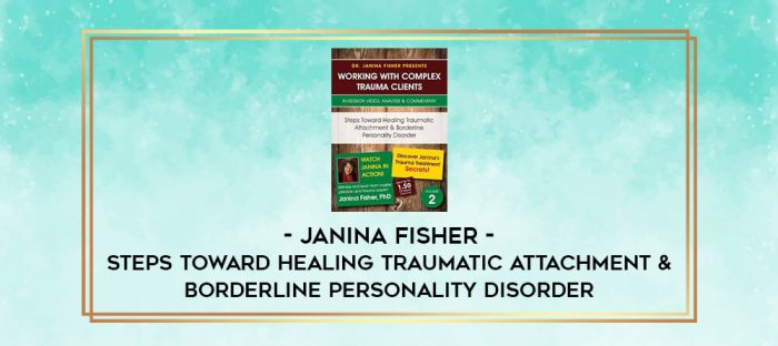 Steps Toward Healing Traumatic Attachment & Borderline Personality Disorder - Janina Fisher digital courses