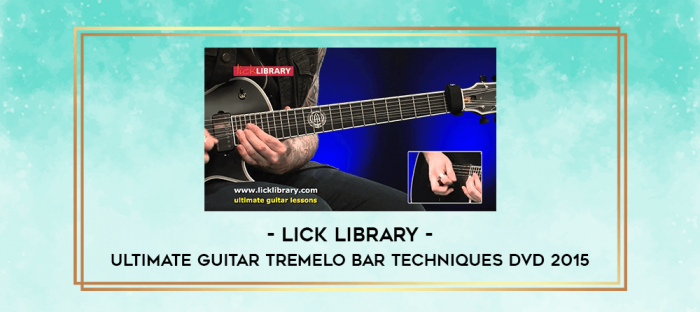 Lick Library - Ultimate Guitar Tremelo Bar Techniques DVD 2015 digital courses