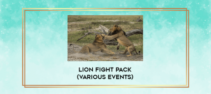 Lion Fight Pack (Various Events) digital courses