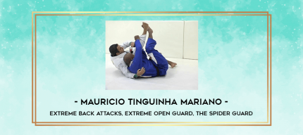 Mauricio Tinguinha Mariano - Extreme Back Attacks