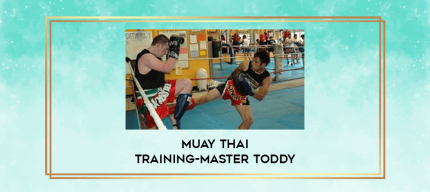 Muay Thai Training-Master Toddy digital courses