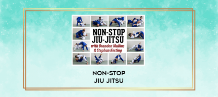 NON-STOP Jiu Jitsu digital courses