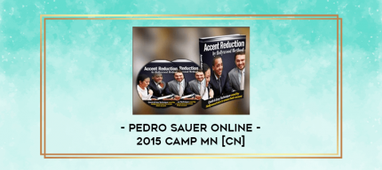 Pedro Sauer Online - 2015 Camp MN [CN] digital courses