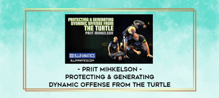 Priit Mihkelson - Protecting & Generating Dynamic Offense From The Turtle digital courses