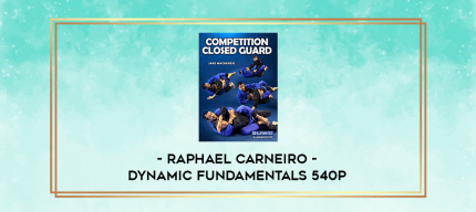 Raphael Carneiro - Dynamic Fundamentals 540p digital courses