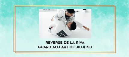 Reverse De La Riva Guard AOJ Art of Jiujitsu digital courses