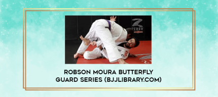 Robson Moura Butterfly Guard Series (BJJLIBRARY.COM) digital courses