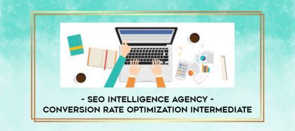 SEO Intelligence Agency -  Conversion Rate Optimization  Intermediate digital courses