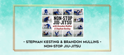 STEPHAN KESTING & BRANDON MULLINS - NON-STOP JIU-JITSU digital courses