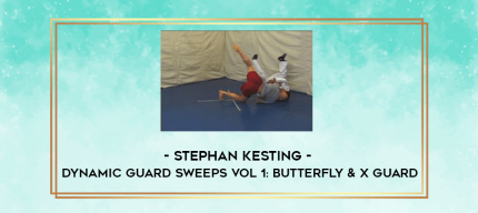 STEPHAN KESTING - DYNAMIC GUARD SWEEPS VOL 1: BUTTERFLY & X GUARD digital courses