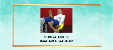 Shinya Aoki & Imanari GIGAPACK! digital courses