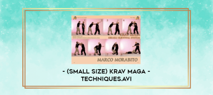 (Small Size) Krav Maga - Techniques.avi digital courses