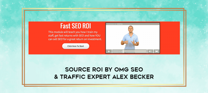 Source ROI by OMG SEO & Traffic expert Alex Becker digital courses