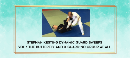 Stephan Kesting Dynamic Guard Sweeps Vol 1 The Butterfly and X Guard-No Group At All digital courses