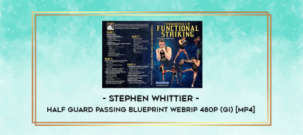 Stephen Whittier - Half Guard Passing Blueprint WEBRip 480p (Gi) [MP4] digital courses